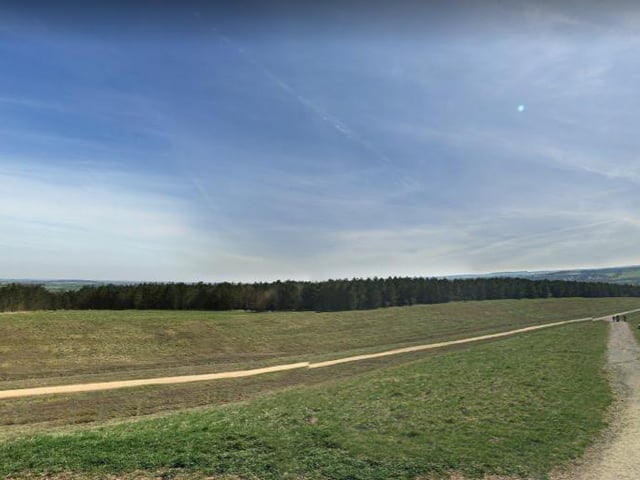 Take a spring stroll around all the vast open green space at Silverhill Wood, Sutton. Scenic views, woodland paths - great for dog walks and cycling. This Sutton wood has a 4.6 rating on Google reviews.