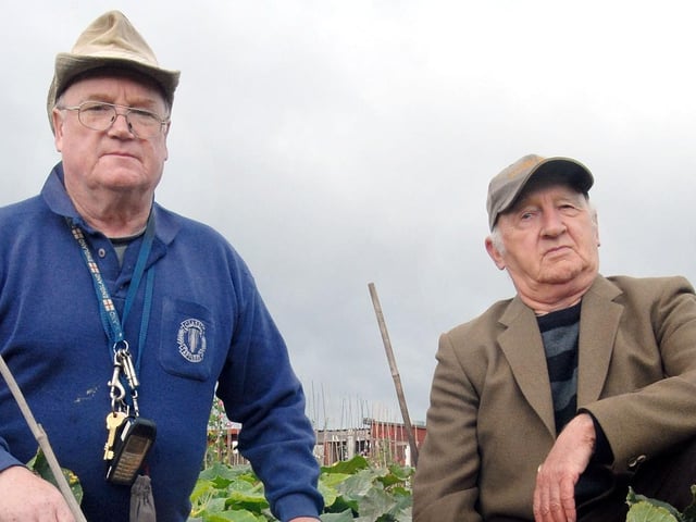 Mick Landridge, left, and Colin Moore with the vandalised pumpkins at their Sutton allotment. 2010.