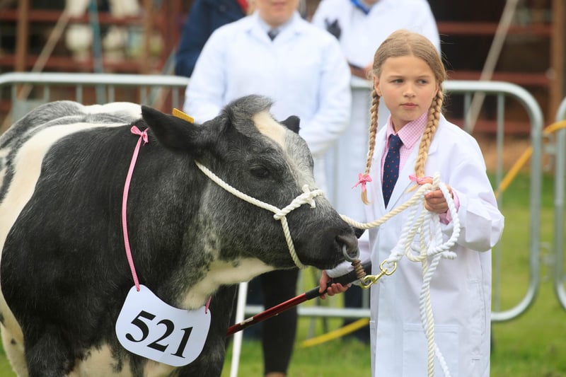 There was a bumper turn-out in the livestock competitions