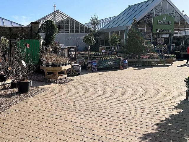 We refined our search by focusing on options with 4 or more stars on Google reviews, and we found some good candidates, such as Notcutts Dukeries, Welbeck. See more at: https://www.notcutts.co.uk/