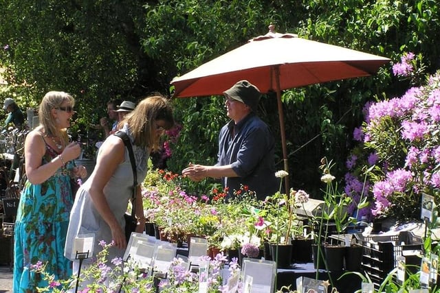 The popular Summer Plant Hunters' Fair, which has become an annual summer event, returns to Thoresby Park on Saturday (10 am to 4 pm). With free entry, the event is the place to go to find the best in garden plants. Nurseries from near and far host stalls selling a brilliant range of plants, perennials, shrubs, trees, rare species and old heritage varieties to suit every type of garden. It's the perfect time of year to pick up some summer flowering plants to give your garden a boost.