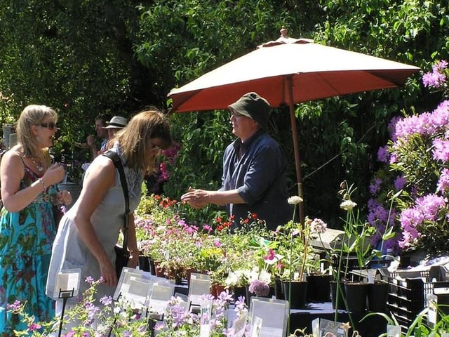 The popular Summer Plant Hunters' Fair, which has become an annual summer event, returns to Thoresby Park on Saturday (10 am to 4 pm). With free entry, the event is the place to go to find the best in garden plants. Nurseries from near and far host stalls selling a brilliant range of plants, perennials, shrubs, trees, rare species and old heritage varieties to suit every type of garden. It's the perfect time of year to pick up some summer flowering plants to give your garden a boost.