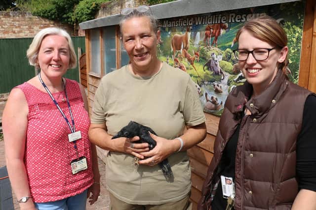 Cheryl (centre), pictured nursing a poorly crow back to health, gave Claire (left) and Stacey a tour of the rescue centre premises.