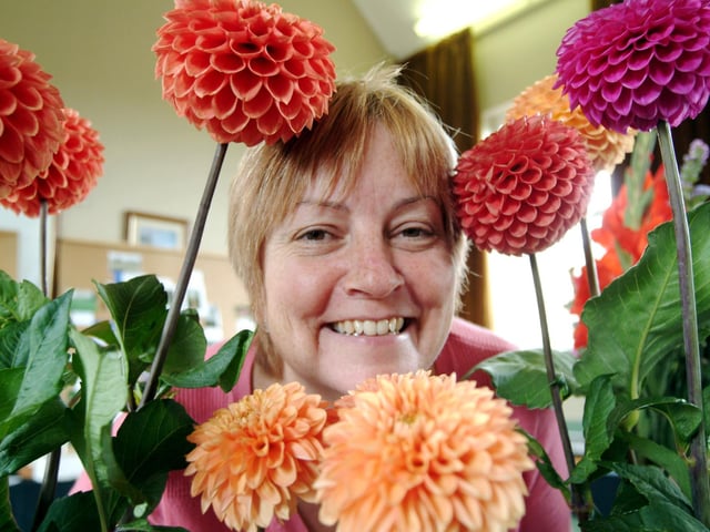 Sue Thornton, secretary of the Farnsfield and district Horticultural society, with some of the prize Dahlia flowers at their summer horticultural show back in 2006.