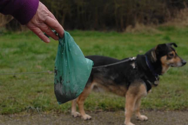 Pick up your dog mess.