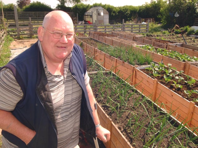 Forest Town Allotments: pictured is Secretary of Forest Town Gardeners Association, Syd Owen. 2007.