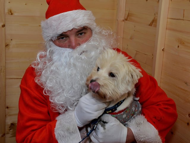 Santa Paws Dog Grotto at Mansfield Market in aid of Guide Dogs for the Blind Association, Santa makes friends with Bobby