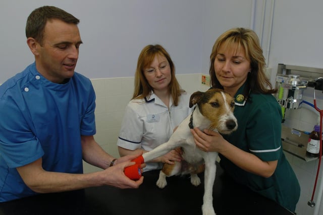 Pictured at the Hallam Vetinary Surgery, Holme Lane, Hillsborough, Sheffield, in 2004 where LtoR are Vet Mark Hallam, Pratice co-ordinator Jackie Wall, and Head Nurse Sonia Walker are seen with patient Muppett.