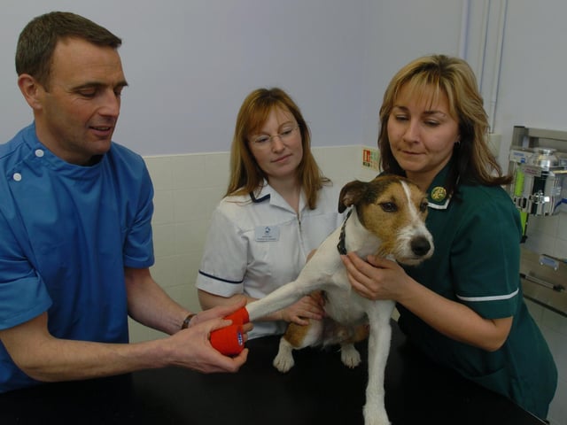 Pictured at the Hallam Vetinary Surgery, Holme Lane, Hillsborough, Sheffield, in 2004 where LtoR are Vet Mark Hallam, Pratice co-ordinator Jackie Wall, and Head Nurse Sonia Walker are seen with patient Muppett.