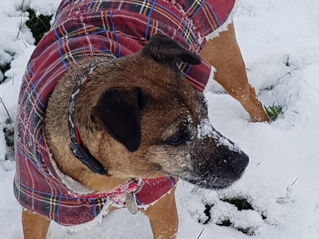 Dressed for the weather.