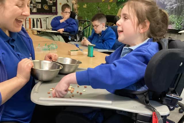 Pupils at Fountaindale School took part in the RSPB's Big Birdwatch. Photo: Submitted