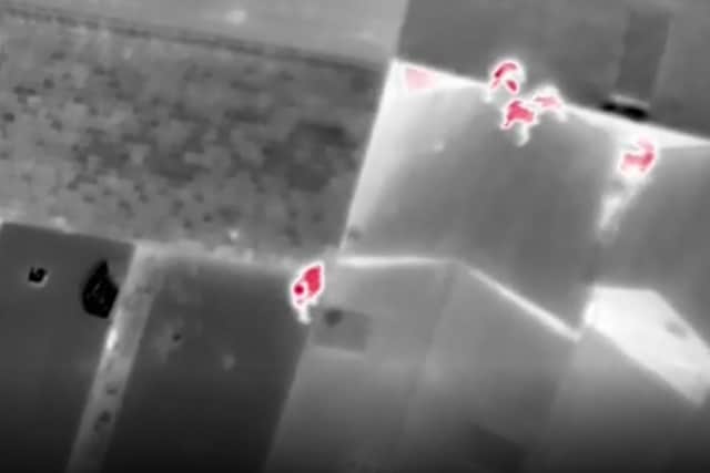Bungling burglars were hiding on the bank's roof