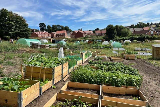 New allotments at Sandy Lane in Mansfield