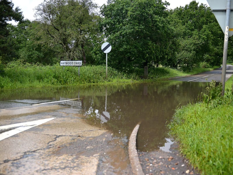 Haywood Oaks, near Blidworth in 2019