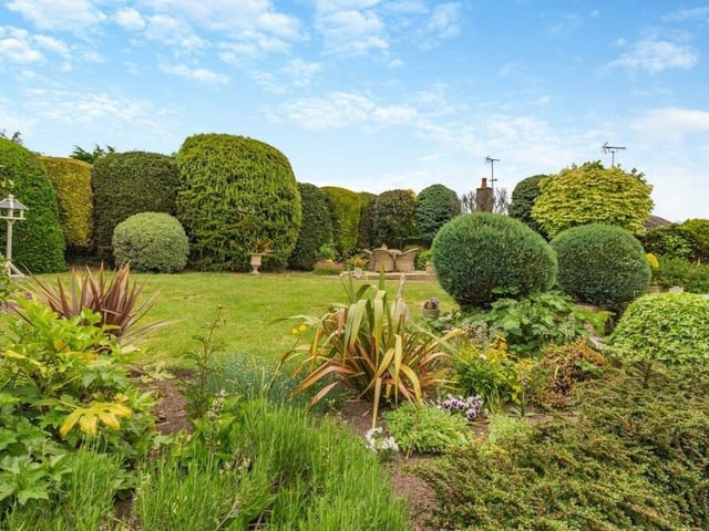 Greenery surrounds the central lawn in the back garden. It is the place to be in the spring and summer.