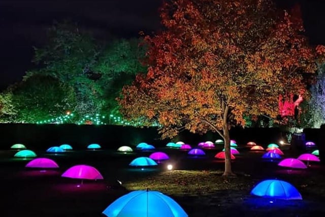Spectacle Of Light, Rufford Abbey's magical after-dark adventure for all the family, is back for 2022, starting tomorrow (Thursday) evening. Marvel at the amazing light installations as you stroll around the gardens, and meet characters from 'Alice In Wonderland', all while sipping mulled wine or hot chocolate and tucking into scrumptious hot food. The event runs every Thursday, Friday, Saturday and Sunday until November 20.