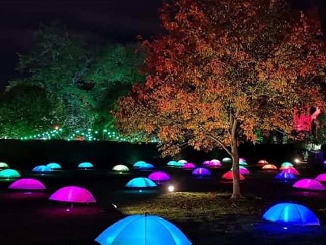 Spectacle Of Light, Rufford Abbey's magical after-dark adventure for all the family, is back for 2022, starting tomorrow (Thursday) evening. Marvel at the amazing light installations as you stroll around the gardens, and meet characters from 'Alice In Wonderland', all while sipping mulled wine or hot chocolate and tucking into scrumptious hot food. The event runs every Thursday, Friday, Saturday and Sunday until November 20.