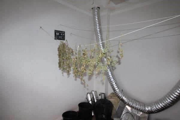 Langton Machacha bypassed the meter while providing power to the crop - causing holes in ceilings and water damage to floors and carpets valued at £3,455