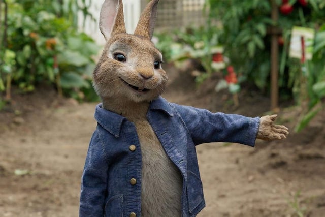 Peter Rabbit is the special VIP guest at the first Easter Festival run by the Ashfield Voluntary Action group on Saturday (10 am to 3 pm) at the Cricketers Arms pub in Nuncargate, Kirkby.. He will be on hand to judge an Easter bonnet parade at a free event that will also feature craft stalls, a barbecue, bouncy castle, disco, refreshments and an Easter egg hunt, with prizes galore.