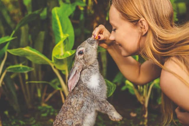 A range of animal care one-day courses are coming soon.