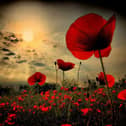 At the going down of the sun.......The poppy is the symbol of a weekend that is dominated by Armistice Day and Remembrance Sunday. But after paying your respects to the fallen, there is a variety of places to go and things to do over the next few days. Check out our guide