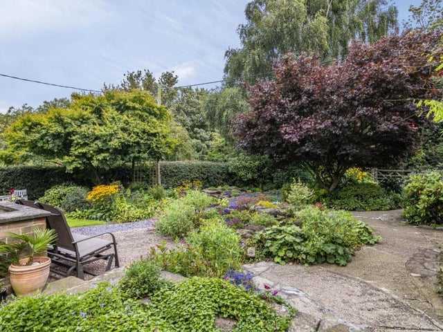 The garden at the Jacksdale cottage is ripe for exploration and relaxation.