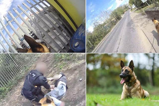 After a prolonged trek along a series of alleyways and footpaths, Seth was released to chase down and detain the suspect.