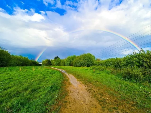 Michelle Mills shared this majestic photo from Mansfield Woodhouse.
