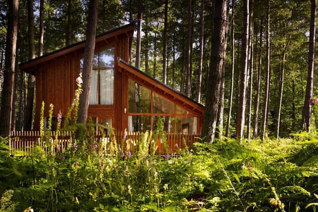 NHS and Healthcare workers interested in registering for their Forest Holidays break simply need to email complimentary@forestholidays.co.uk