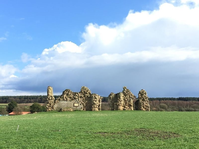 King John's Palace is the remains of a former medieval royal residence in Clipstone. The name "King John's Palace" has been used since the 18th century; prior to that the site was known as the "King's Houses". The Palace was visited by all 8 kings from Henry II to Richard II, with King John possibly holding parliament there in the early 13th century and Edward I holding Parliament there in 1290.