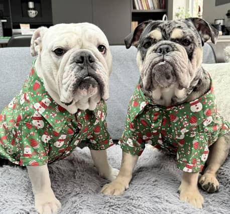 Matching Christmas shirts ready for the festivities. This photo was shared by Lorraine from Ashfield.