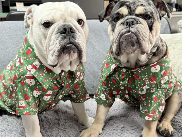 Matching Christmas shirts ready for the festivities. This photo was shared by Lorraine from Ashfield.
