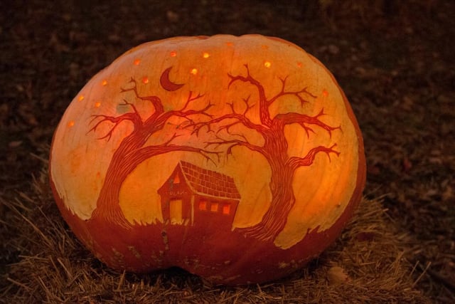 By not going all the way through the pumpkin rind, you can create this translucent effect with your design, which allows you to create silhouettes and scenes, like this Halloween cottage.