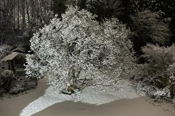 A beautiful winter scene captured by Peter Bales.