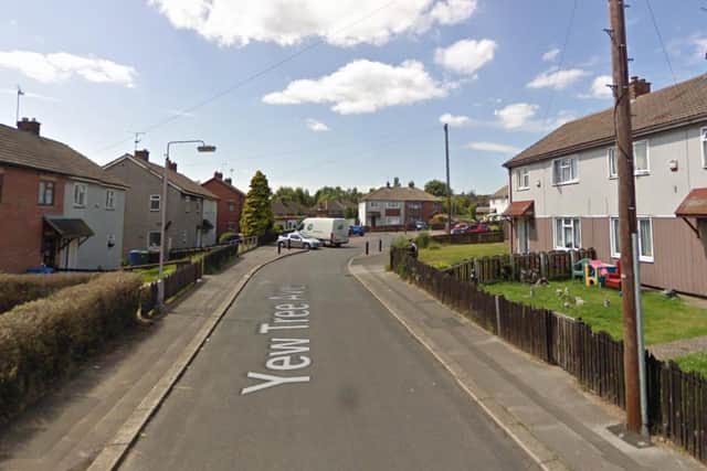 Yew Tree Avenue