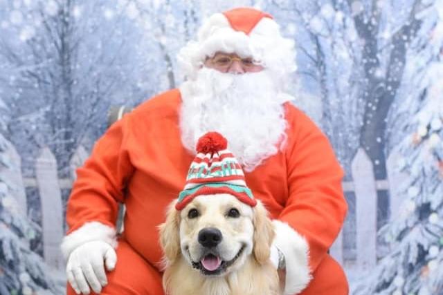 Chester in his Christmas hat with Santa.