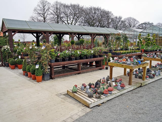 Glapwell Nurseries now has a larger outdoor space