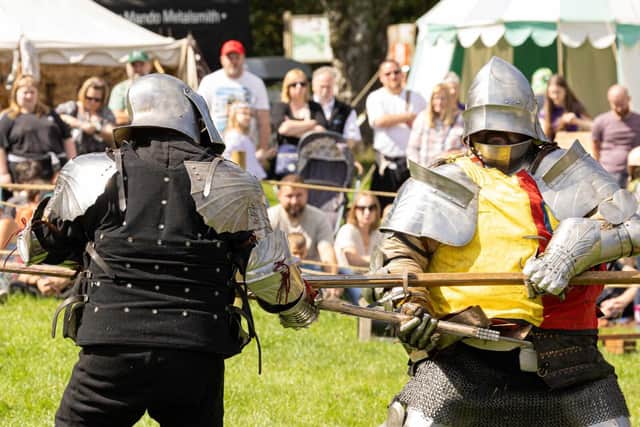 The Wars of the Roses will be relived in Sherwood Forest this weekend (8th and 9th June).