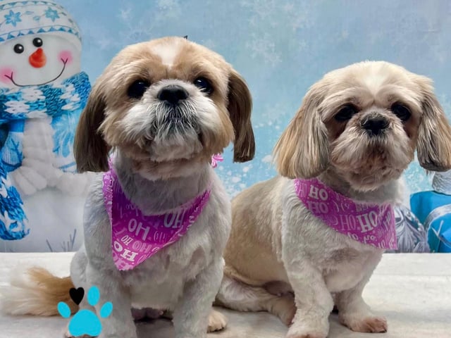This dynamic duo enjoyed striking  a pose