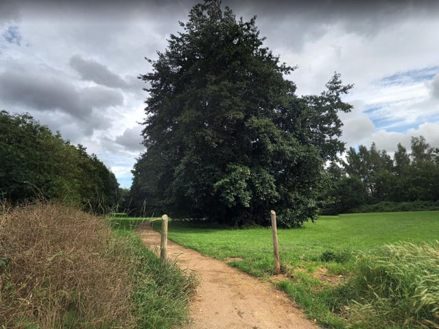 There are many walking routes and cycling routes to treat yourself to at Newlands Park where the colours will be incredible.