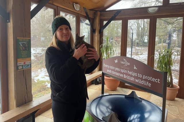 Park Director and Conservation Manager Jo shares a special bond with Wally the hand-reared wallaby at the Tropical Butterfly House Wildlife Conservation Park.