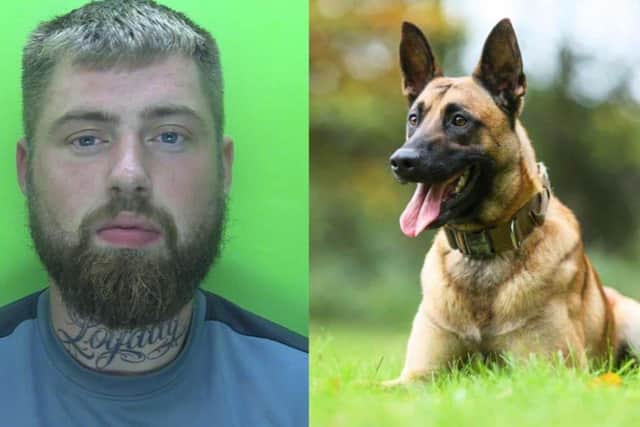 Jack Williamson and Seth. Image: Nottinghamshire Police.