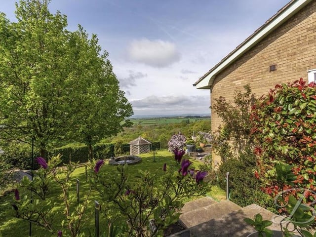 Trees and decorative shrubbery abound as steps lead down the side of the bungalow to the back garden.