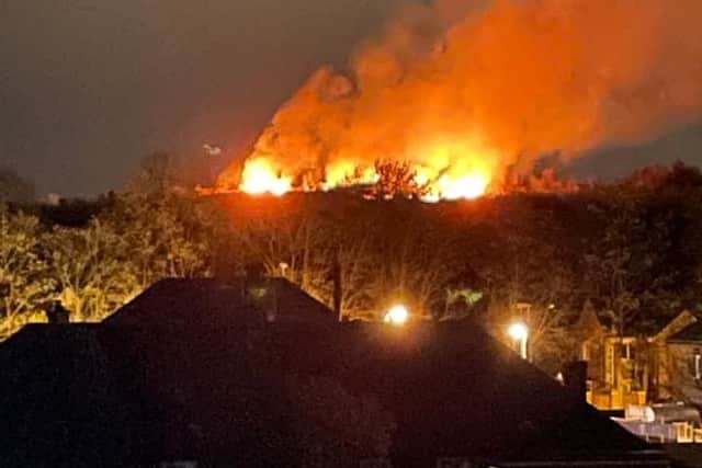 A blaze destroyed a large section of Vicar Water Country Park.