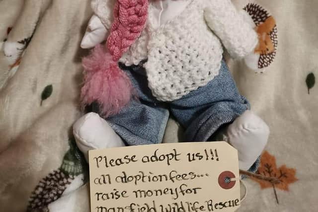 Little rabbit also needs a home to raise money for Mansfield Wildlide Rescue