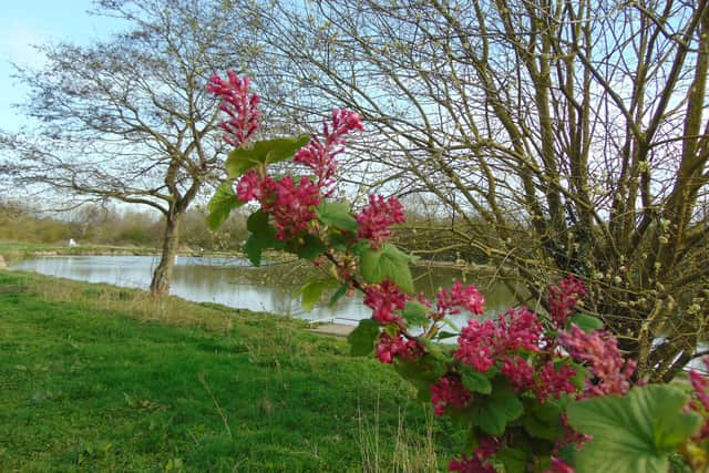The funds will be used for research into the history of its rare and ancient dyke