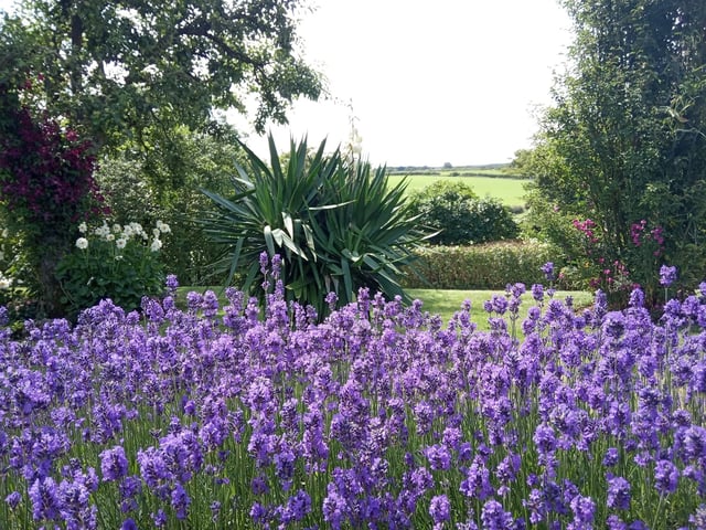 Butterfly Effect Services, located in Blidworth, serves clients throughout the Mansfield and Ashfield area. It has received a five-star rating on Google. See more at www.butterflyeffectgardening.com