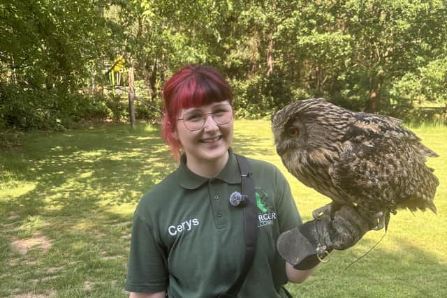 Trainer Cerys Clarke with one of the beautiful bird of prey, during a talk at Wheelgate.
