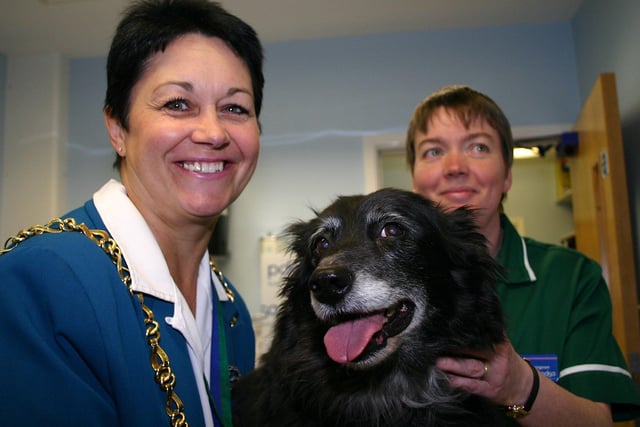 Lord Mayor Coun Diane Leek pictured with senior vet Liz Airey and 'Tanzi' at the Sheffield PDSA Pet Aid Hospital, Newhall Road back in 2004