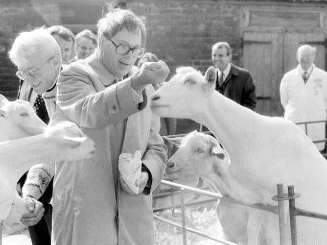 Visitors love feeding the animals